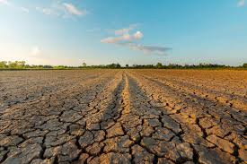 drought solo